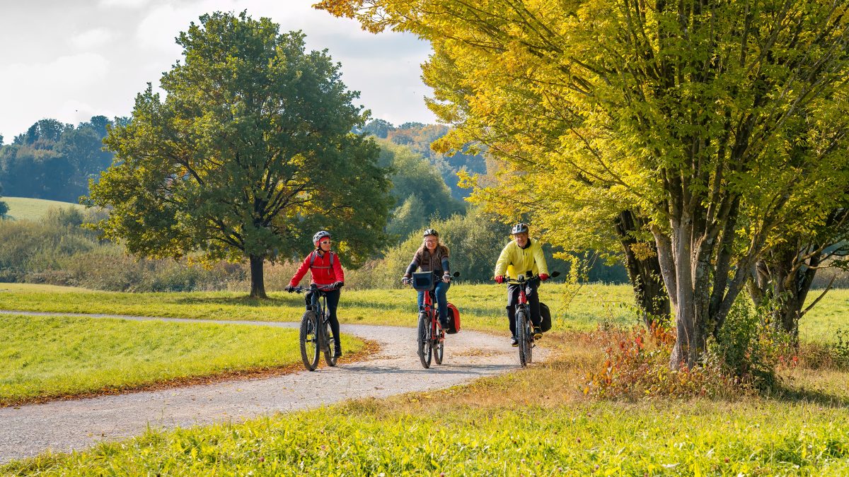 Prescription : 20 minutes de vélo tous les jours